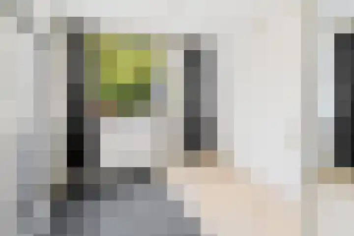 Jacob van Ruijsdaelstraat 34 b Roosendaal thumbnail 16