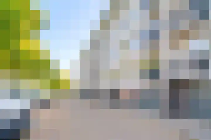 Jacob van Ruijsdaelstraat 34 b Roosendaal thumbnail 31
