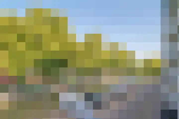 Jacob van Ruijsdaelstraat 34 b Roosendaal thumbnail 32