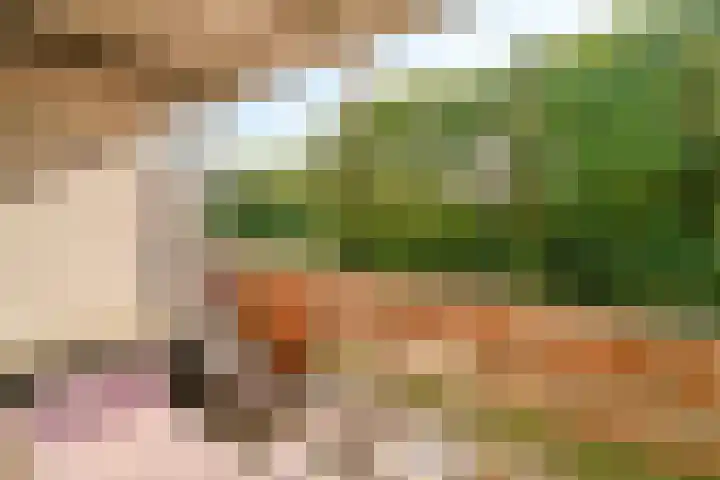 Jacob van Ruijsdaelstraat 34 b Roosendaal thumbnail 5