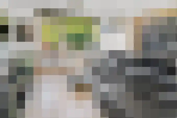 Jacob van Ruijsdaelstraat 34 b Roosendaal thumbnail 7