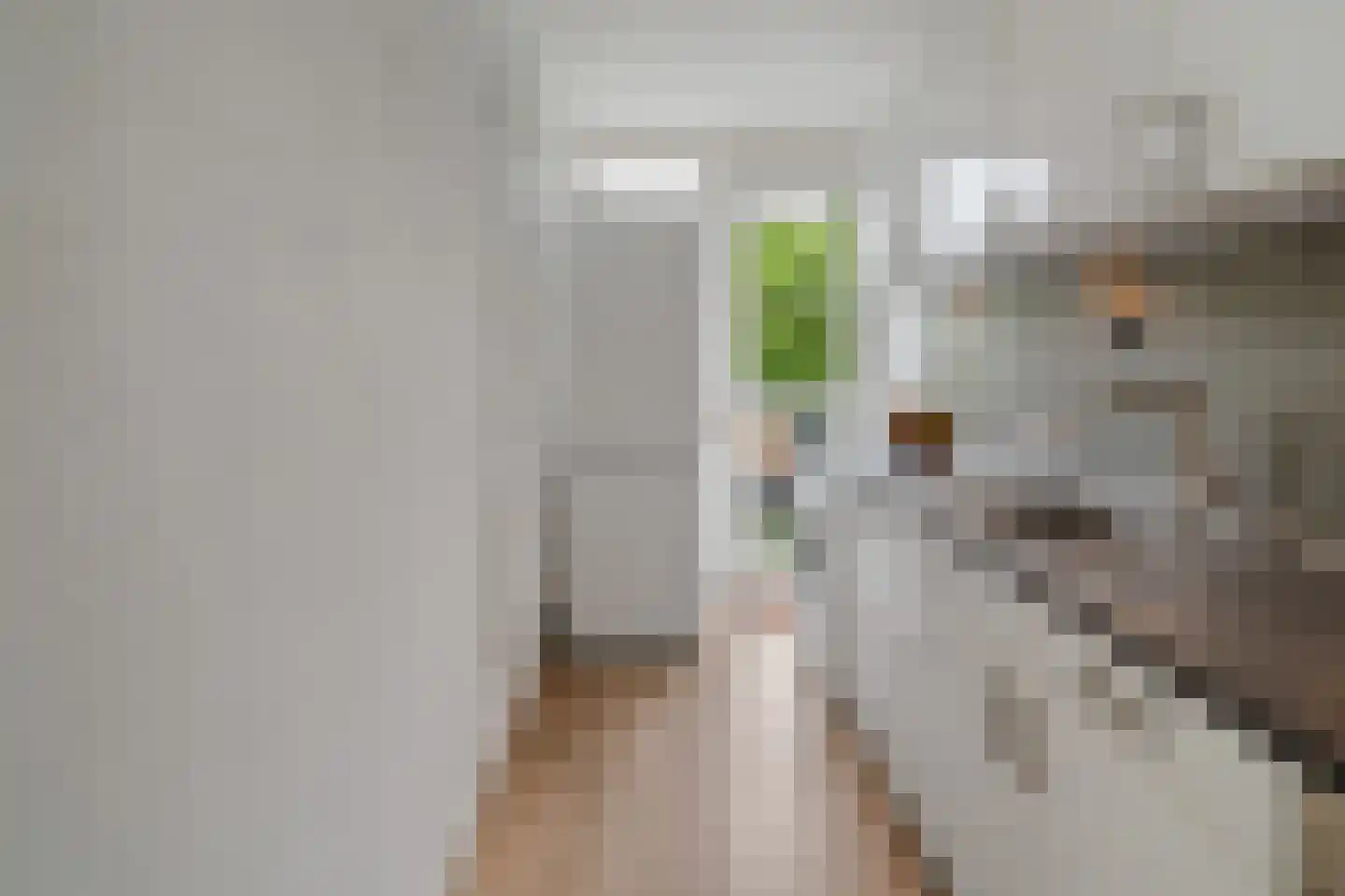 Jacob van Ruijsdaelstraat 38 d Roosendaal thumbnail 13