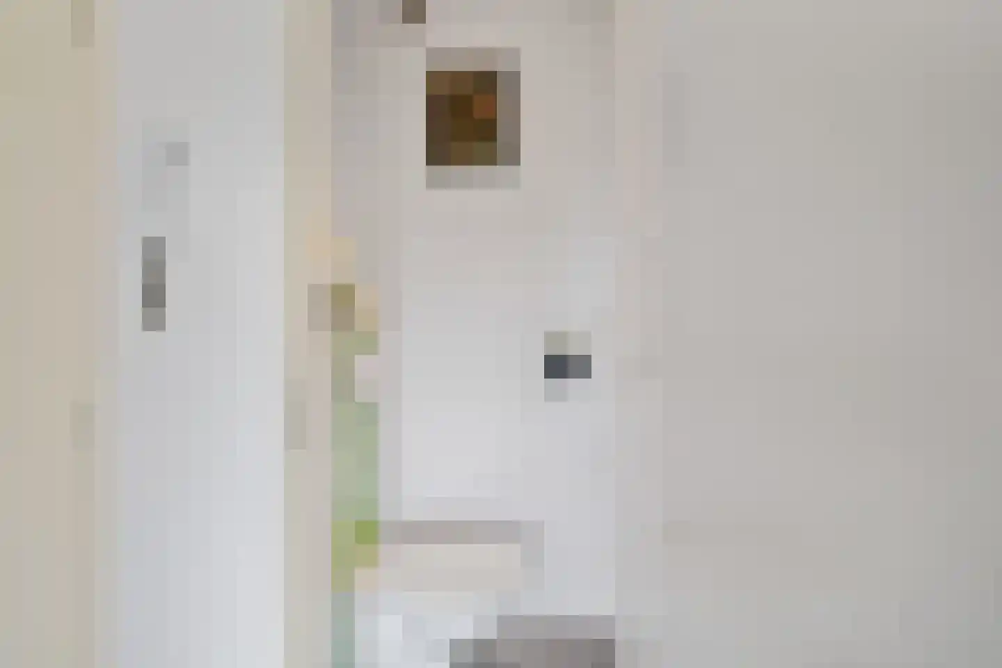 Jacob van Ruijsdaelstraat 38 d Roosendaal thumbnail 23