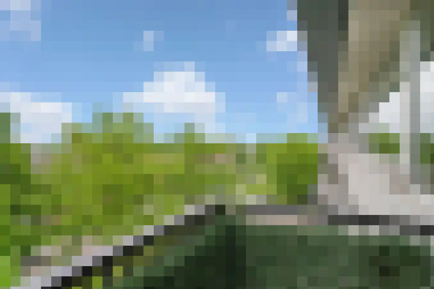 Jacob van Ruijsdaelstraat 38 d Roosendaal thumbnail 6