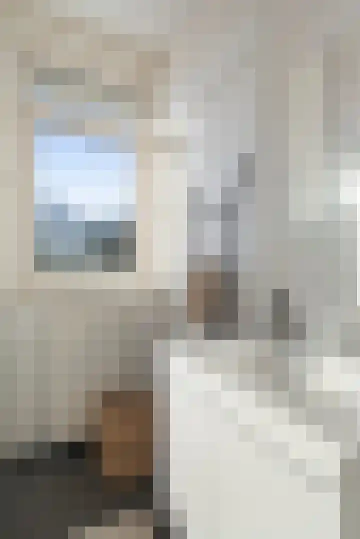 Jacob van Ruijsdaelstraat 40 b Roosendaal thumbnail 16