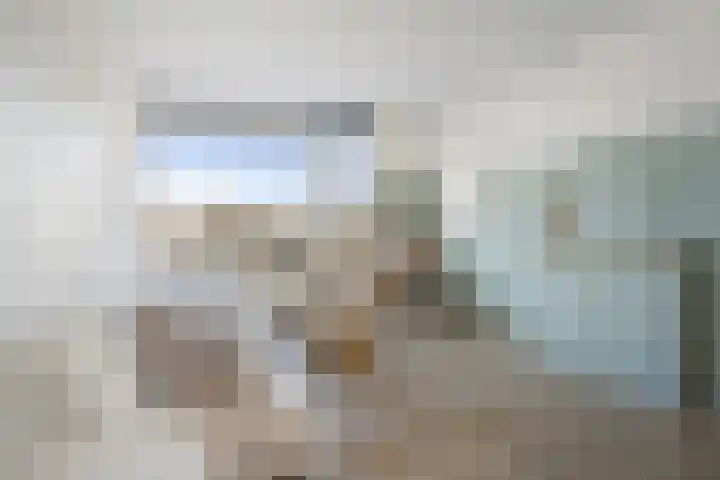 Jacob van Ruijsdaelstraat 40 b Roosendaal thumbnail 6