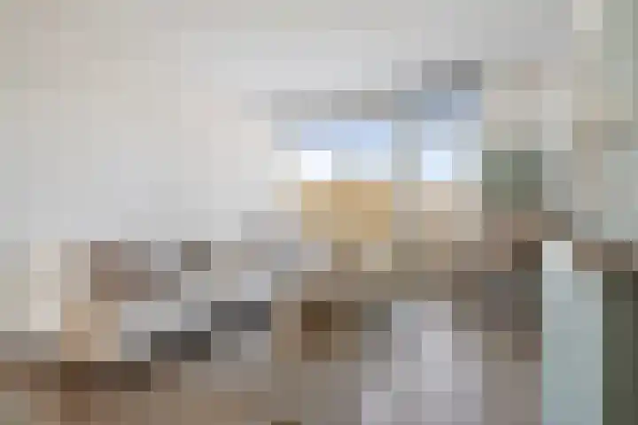 Jacob van Ruijsdaelstraat 40 b Roosendaal thumbnail 7