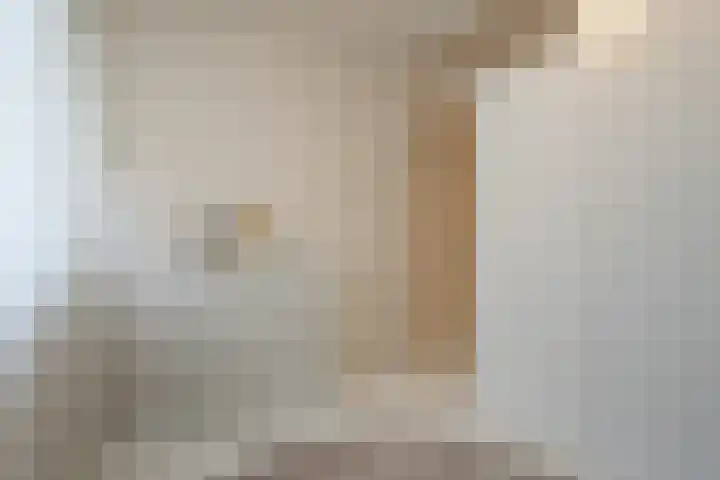 Jacob van Ruijsdaelstraat 48 Roosendaal thumbnail 17