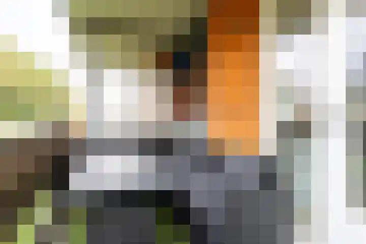 Jacob van Ruijsdaelstraat 48 Roosendaal thumbnail 22