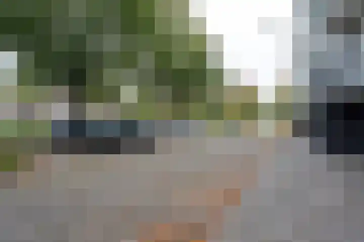 Jacob van Ruijsdaelstraat 48 Roosendaal thumbnail 23