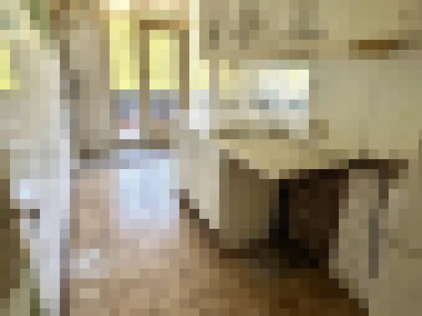 Jacob van Ruijsdaelstraat 50 a Roosendaal thumbnail 17