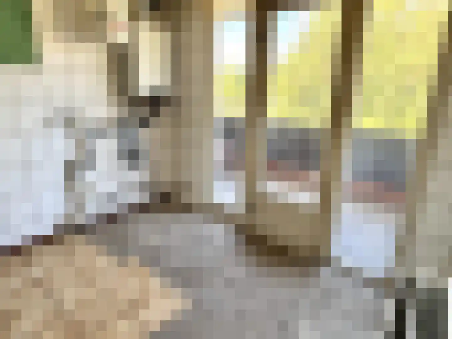 Jacob van Ruijsdaelstraat 50 A Roosendaal thumbnail 21