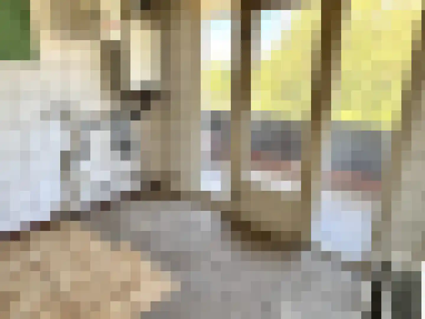 Jacob van Ruijsdaelstraat 50 a Roosendaal thumbnail 21
