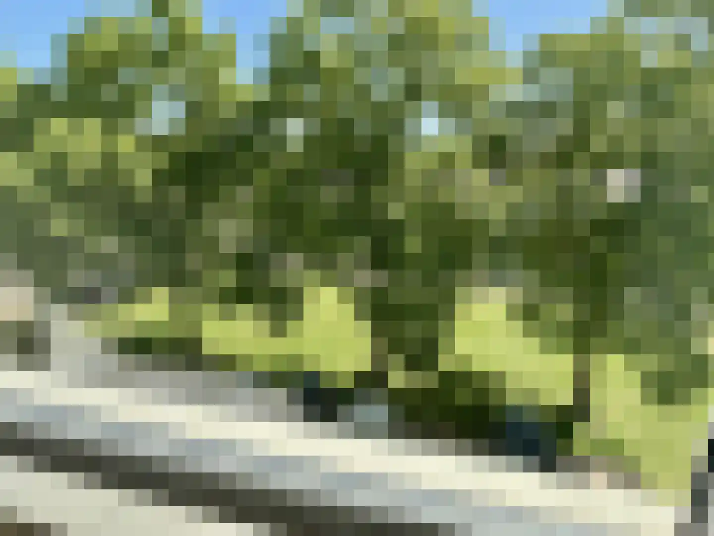 Jacob van Ruijsdaelstraat 52 b Roosendaal thumbnail 18