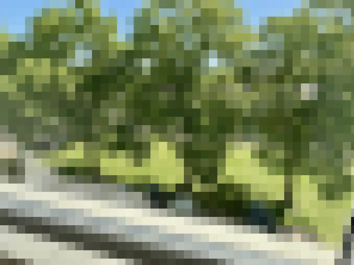 Jacob van Ruijsdaelstraat 52 d Roosendaal thumbnail 18