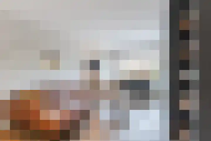 Jacob van Ruisdaelhoek 28 Oosterhout thumbnail 13