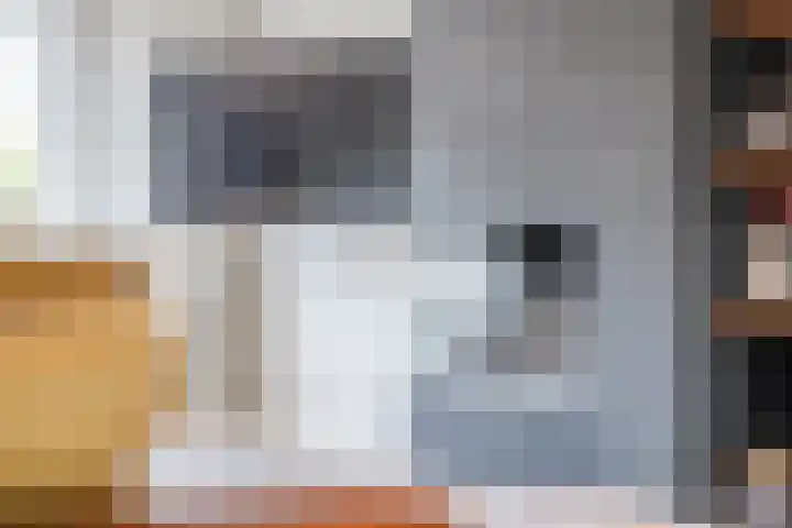 Jacob van Ruisdaelhoek 28 Oosterhout thumbnail 14