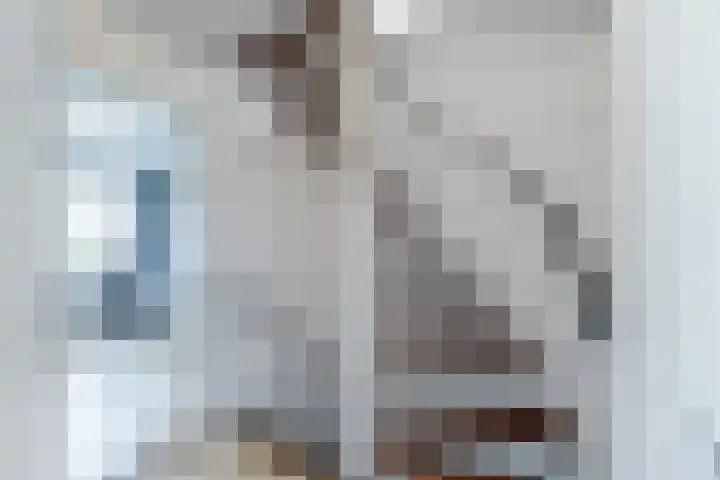 Jacob van Ruisdaelhoek 28 Oosterhout thumbnail 46