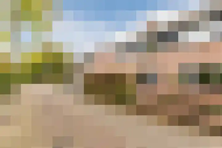 Jacob van Ruisdaelhoek 28 Oosterhout thumbnail 5