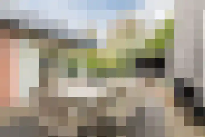 Jacob van Ruisdaelhoek 28 Oosterhout thumbnail 52