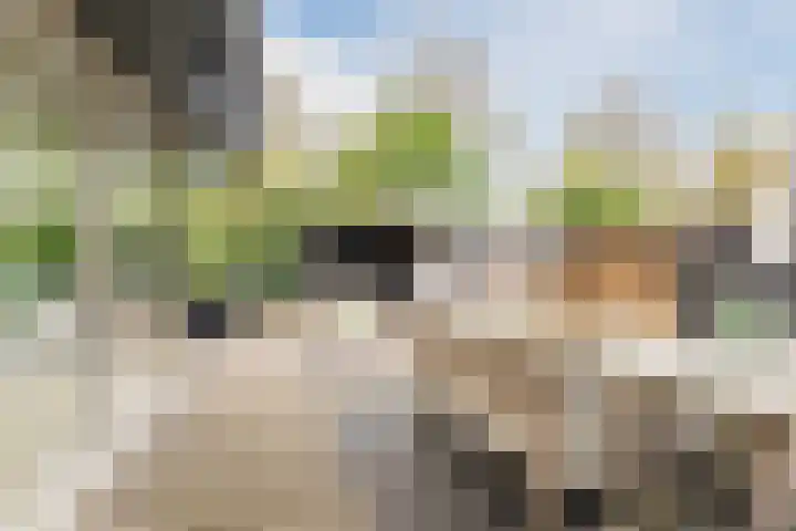 Jacob van Ruisdaelhoek 28 Oosterhout thumbnail 53