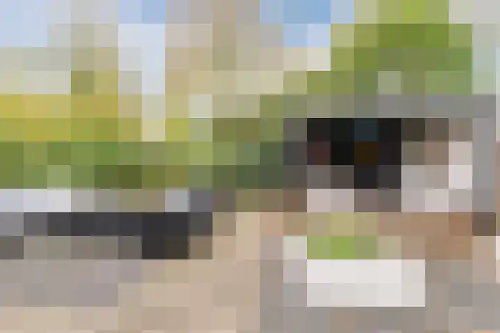 Jacob van Ruisdaelhoek 28 Oosterhout thumbnail 54