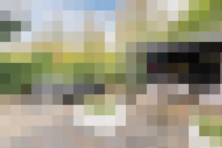 Jacob van Ruisdaelhoek 28 Oosterhout thumbnail 55