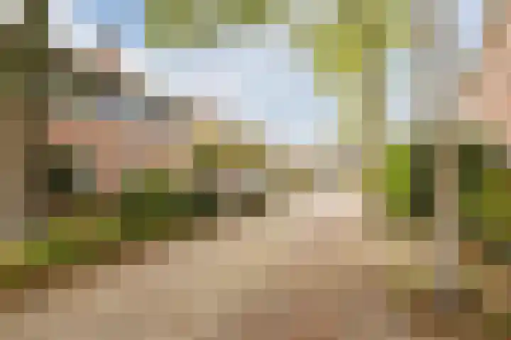 Jacob van Ruisdaelhoek 28 Oosterhout thumbnail 6