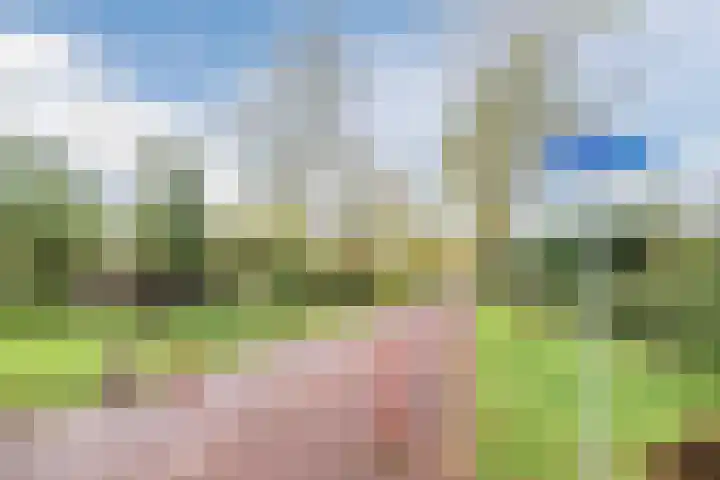 Jacob van Ruisdaelhoek 28 Oosterhout thumbnail 61