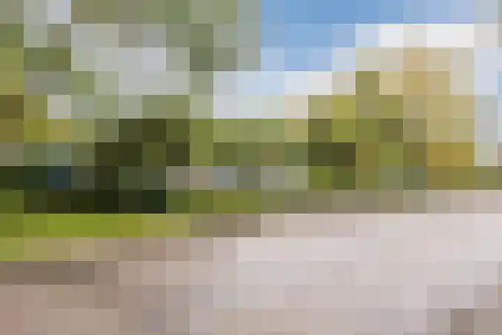 Jacob van Ruisdaelhoek 28 Oosterhout thumbnail 62