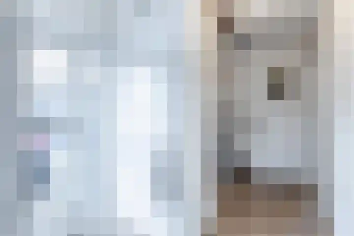Jacob van Ruisdaelhoek 28 Oosterhout thumbnail 7