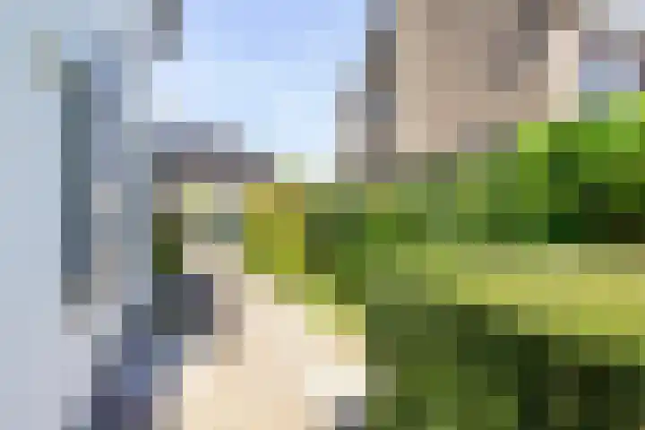 Jacob van Ruisdaellaan 26 Heemstede thumbnail 28