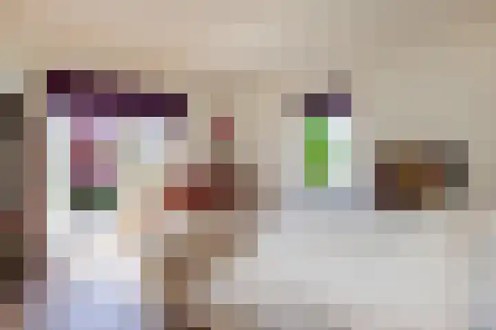Jacob van Ruisdaellaan 26 Heemstede thumbnail 38