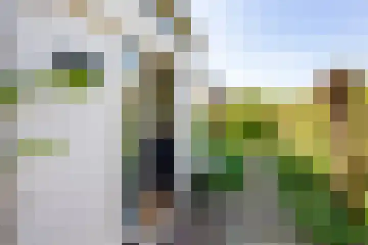 Jacob van Ruisdaellaan 26 Heemstede thumbnail 4