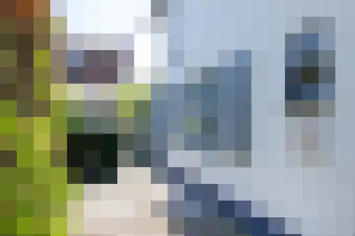 Jacob van Ruisdaellaan 26 Heemstede thumbnail 43