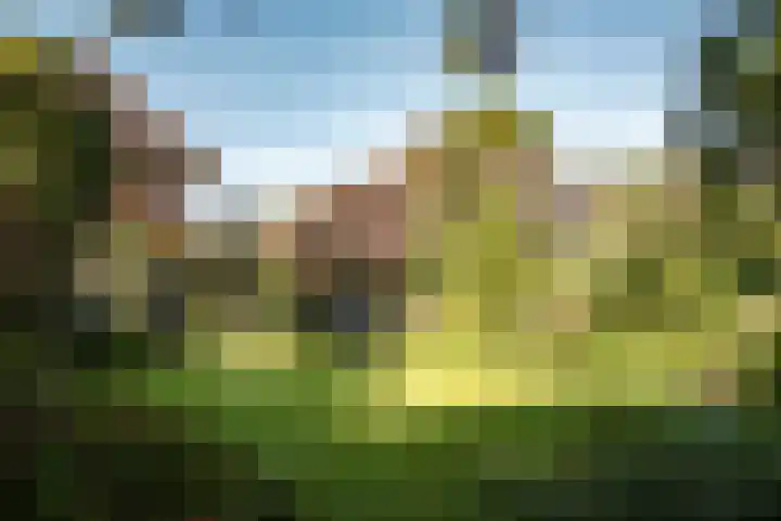 Jacob van Ruisdaellaan 36 Heemstede thumbnail 28