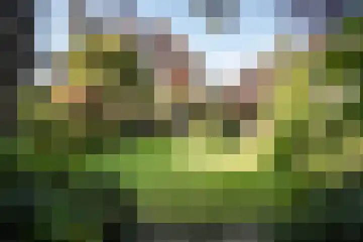 Jacob van Ruisdaellaan 36 Heemstede thumbnail 30