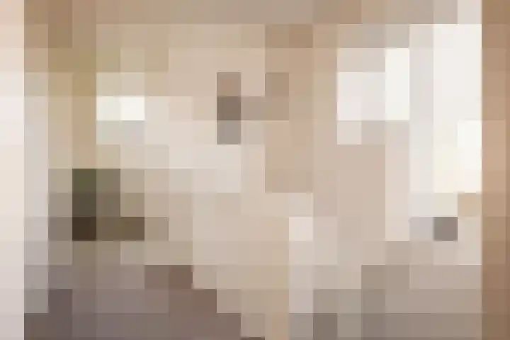 Jacob van Ruisdaellaan 36 Heemstede thumbnail 32