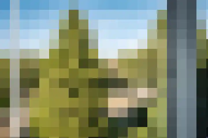 Jacob van Ruisdaellaan 36 Heemstede thumbnail 39
