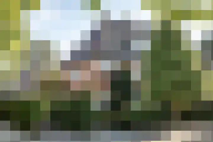 Jacob van Ruisdaellaan 36 Heemstede thumbnail 52