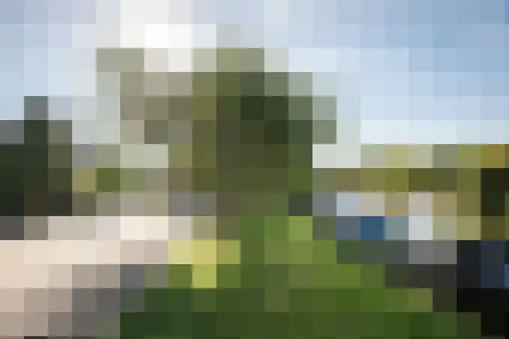 Jacob van Ruisdaellaan 36 Heemstede thumbnail 53