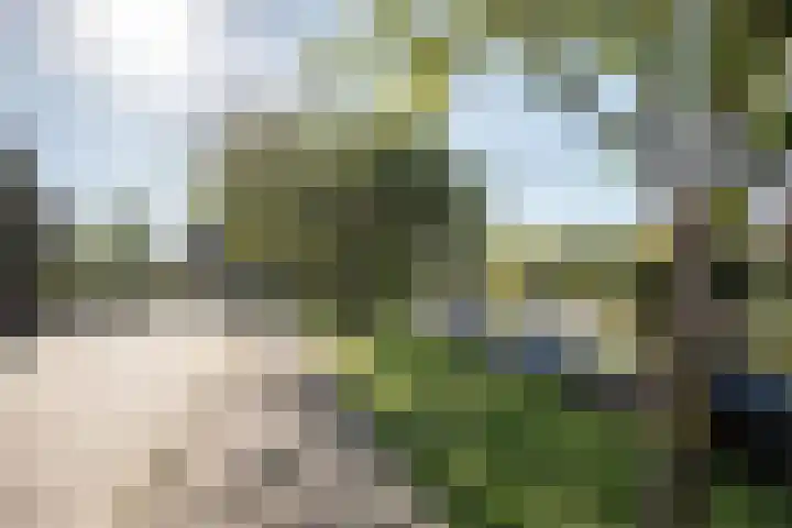 Jacob van Ruisdaellaan 36 Heemstede thumbnail 8