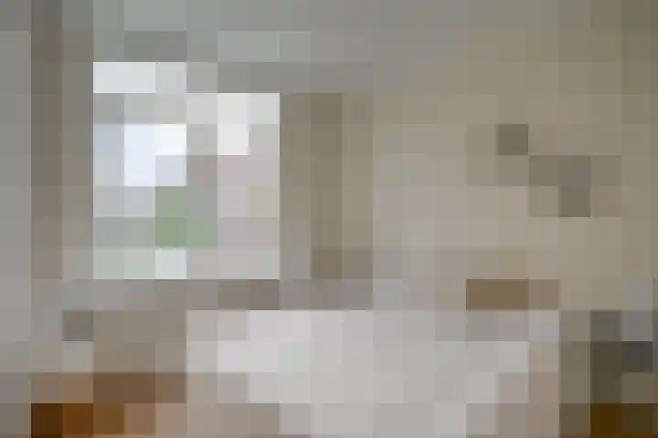Jacob van Ruisdaelstraat 116 Utrecht thumbnail 16