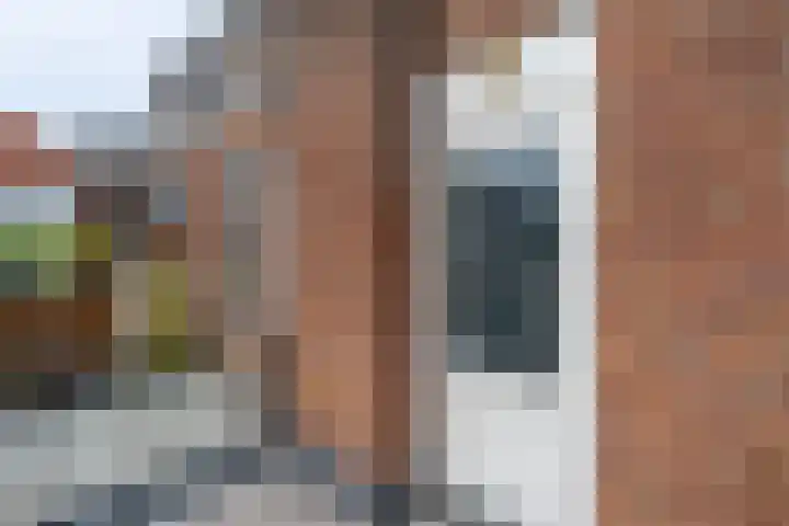 Jacob van Ruisdaelstraat 116 Utrecht thumbnail 27