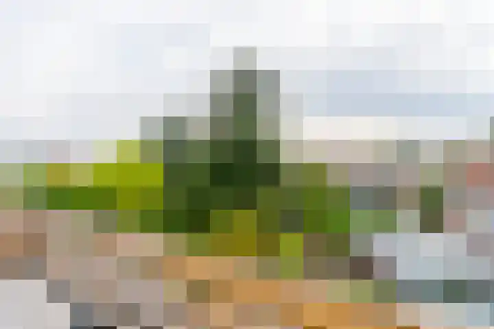 Jacob van Ruisdaelstraat 116 Utrecht thumbnail 35