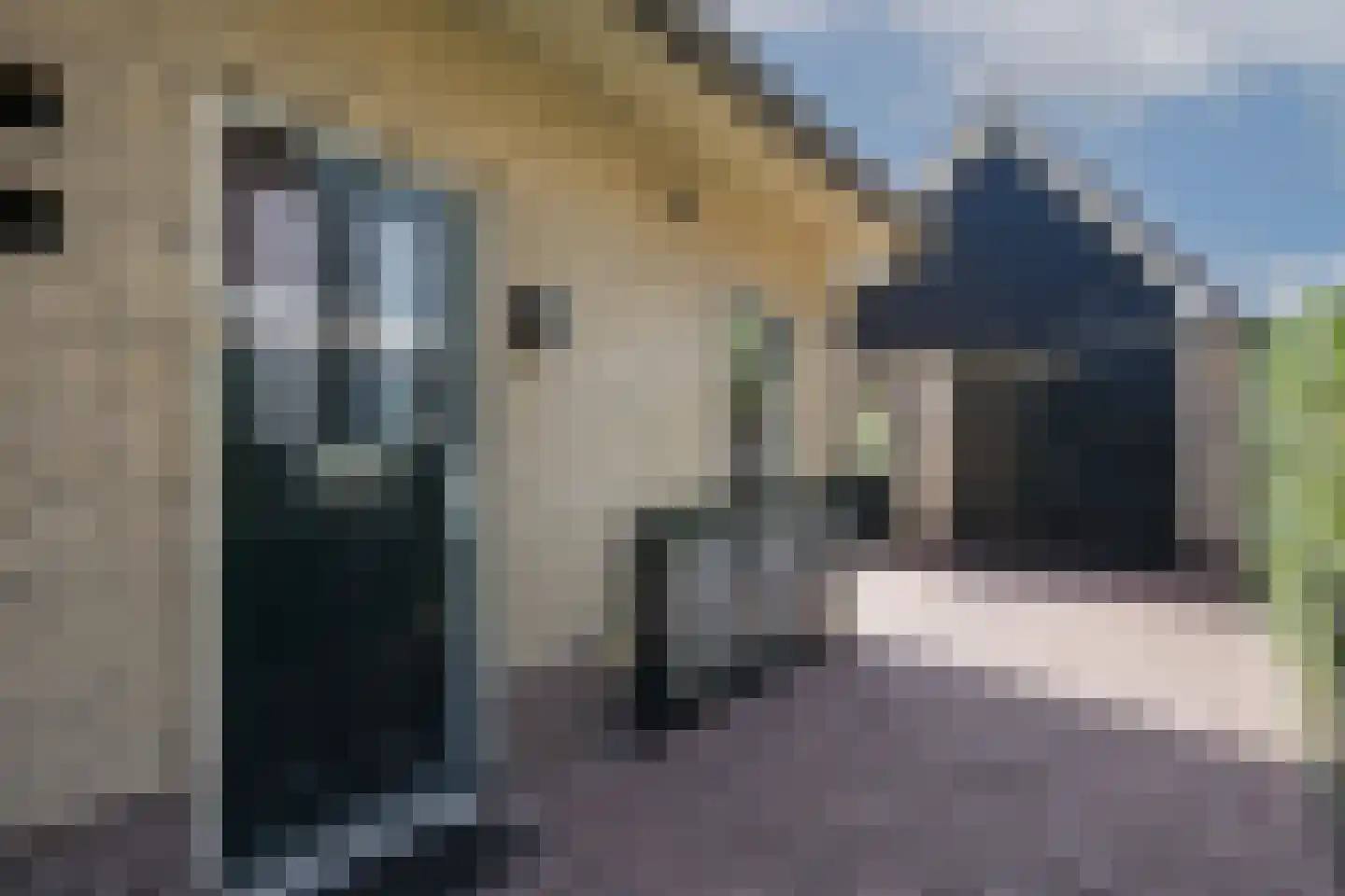 Jacob van Ruisdaelstraat 17 A Twello thumbnail 13
