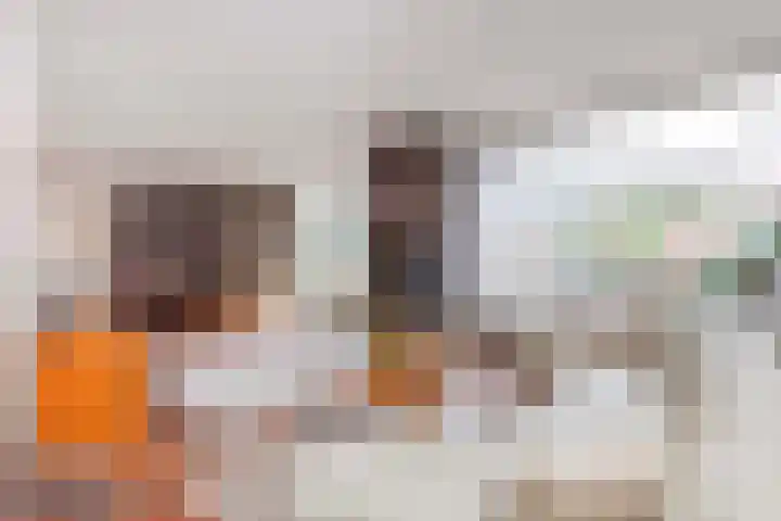 Jacob van Ruisdaelstraat 17 Wijk bij Duurstede thumbnail 11