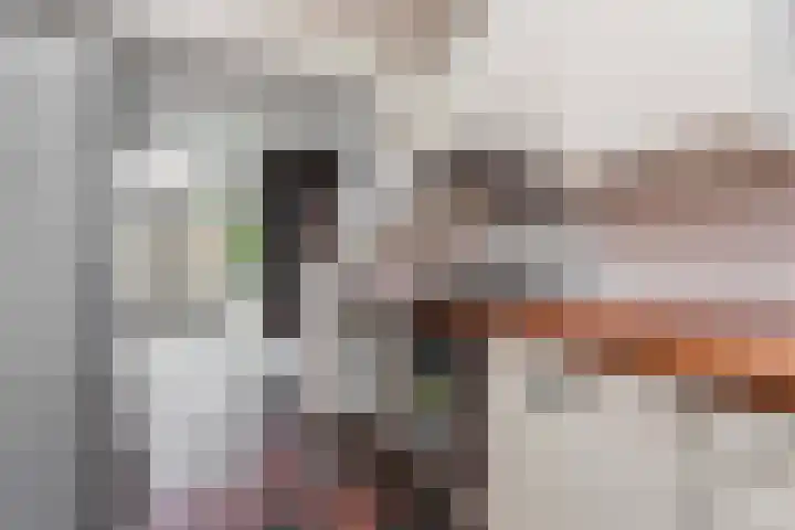 Jacob van Ruisdaelstraat 17 Wijk bij Duurstede thumbnail 18