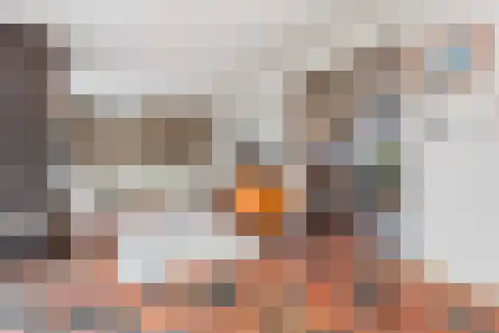 Jacob van Ruisdaelstraat 17 Wijk bij Duurstede thumbnail 4