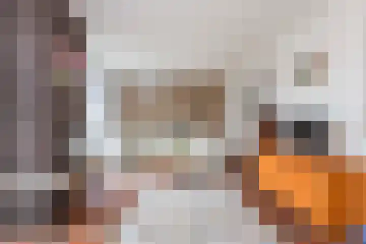 Jacob van Ruisdaelstraat 17 Wijk bij Duurstede thumbnail 5